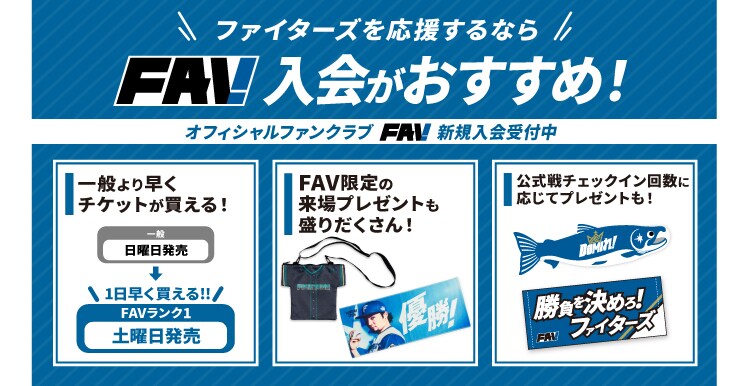 未使用 北海道 日本ハム ファイターズ 公式グッズ 15点セット バッグ Tシャツ タオル マスク他 日ハム ☆ PayPay(ペイペイ)決済可能 ☆ 札幌市 豊平区 平岸 公式グッズ】北海道日本ハムファイターズ公式オンラインストア